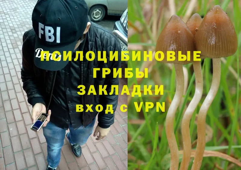 Псилоцибиновые грибы Magic Shrooms  Шумерля 